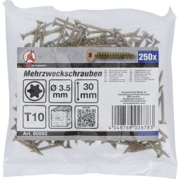 BGS univerzális csavarok T-profil (Torx) T10 3,5 x 30 mm 250 db