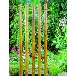 bambusz növénytámasz natúr 30cm hosszú, átm.3-3,5mm 30db-os szett