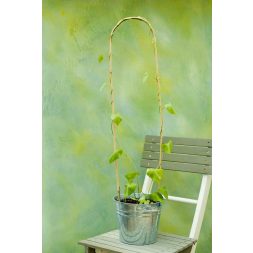 bambusznád hajlított natúr H120cm Ø12-14mm szet 3 db-os