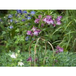 bambusznád hajlított natúr H180cm Ø16-18mm szett of 3 db-os