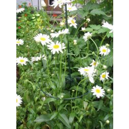 műanyag növénytámasz +klipsz 125cm