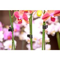 orchidea rögzítő fekete 10db-os szett