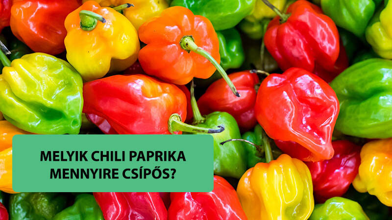 Melyik chili paprika mennyire csípős?